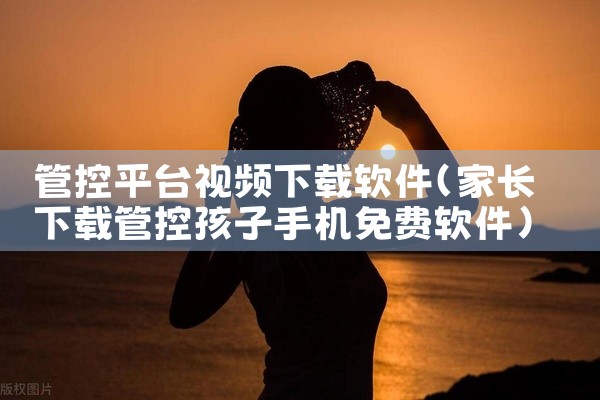 管控平台视频下载软件