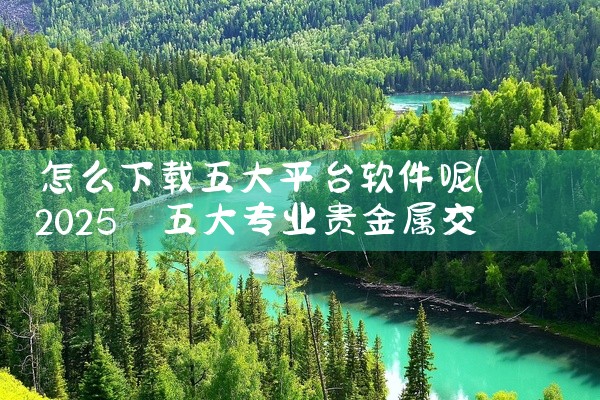 怎么下载五大平台软件呢