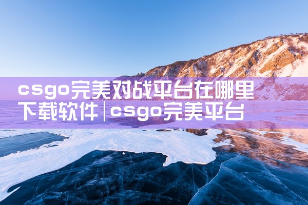 csgo完美对战平台在哪里下载软件