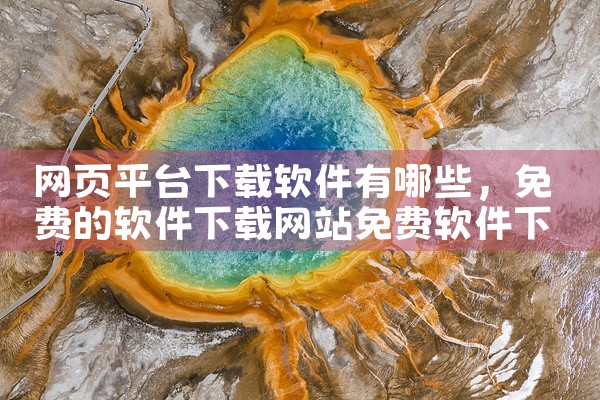 网页平台下载软件有哪些