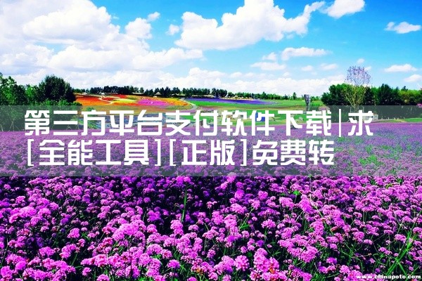 第三方平台支付软件下载