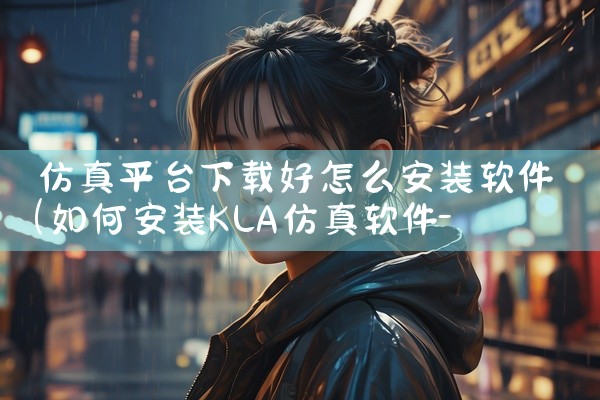 仿真平台下载好怎么安装软件