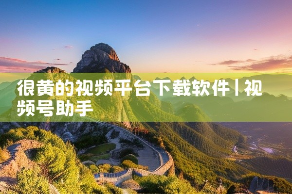 很黄的视频平台下载软件