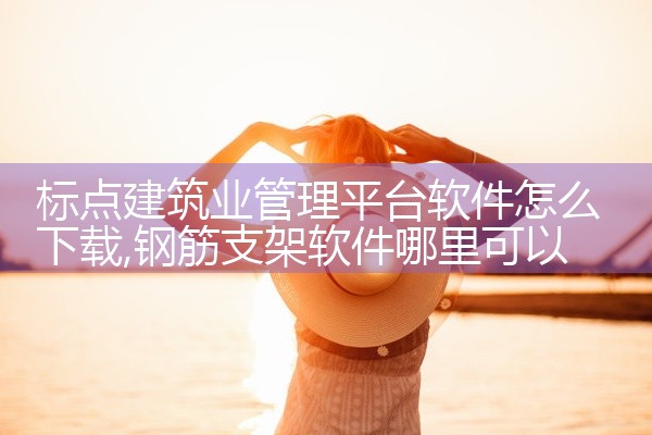 标点建筑业管理平台软件怎么下载