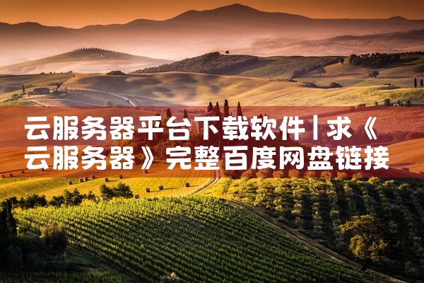 云服务器平台下载软件